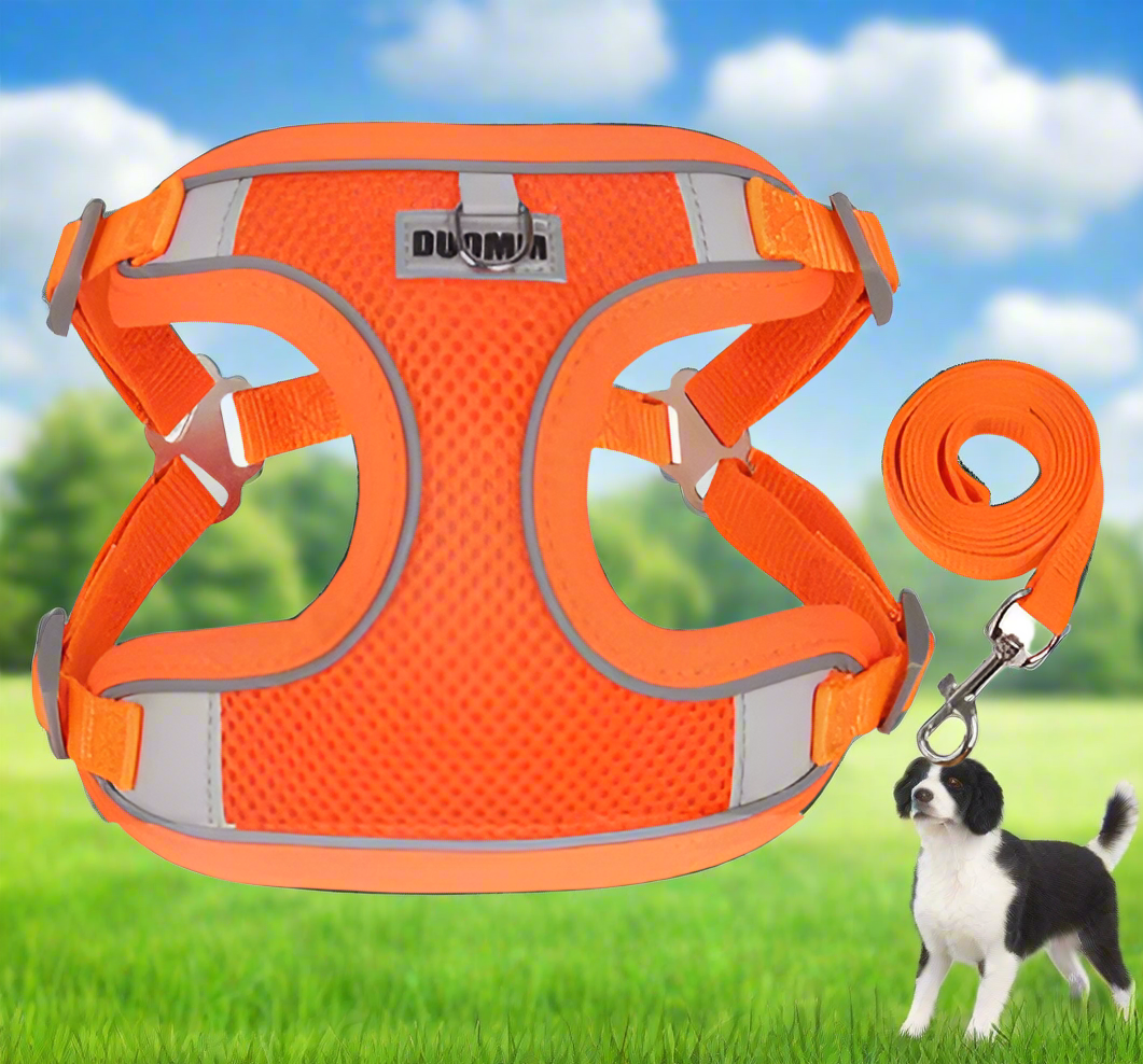 ORANGE Step in Dog Harness and Leash Set, MEDIUM SIZE, Cloth Backing, Mesh Front Harness with Reflective Trim
