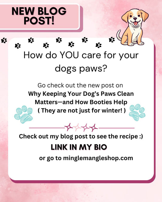 Why Keeping Your Dog’s Paws Clean Matters—and How Booties Help