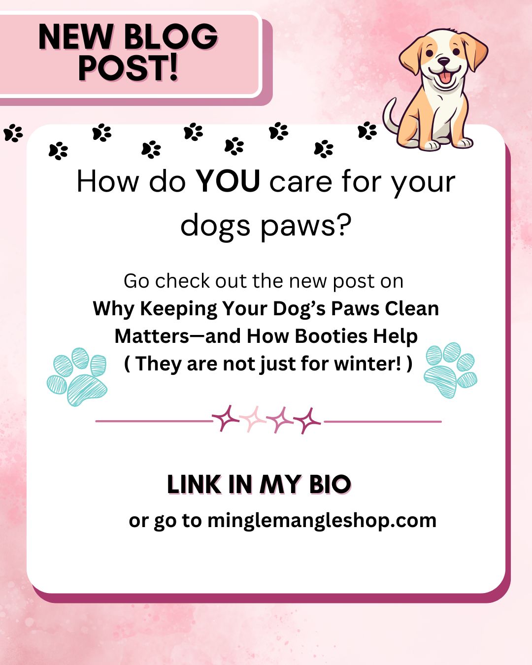 Why Keeping Your Dog’s Paws Clean Matters—and How Booties Help