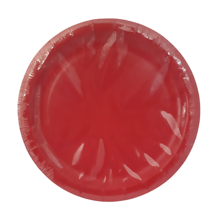 Red Party Paper Plates, 9 Inch Round, Pack of 24 Disposable Party Plates, Cake Plates, Birthday Party Supplies