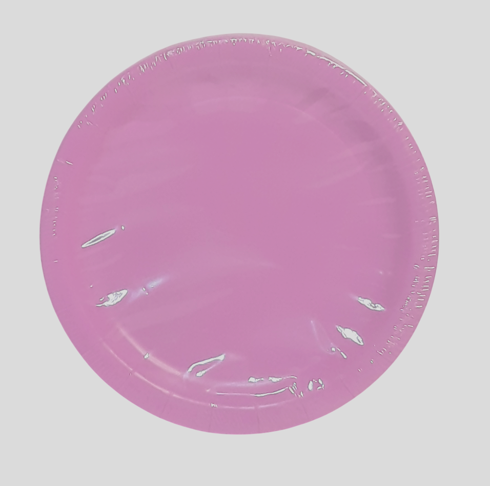 Pink Party Paper Plates, 9 Inch Round, Pack of 24 Disposable Party Plates, Cake Plates, Birthday Party Supplies