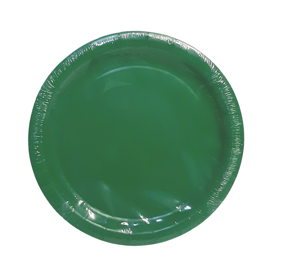 Green Party Paper Plates, 9 Inch Round, Pack of 24 Disposable Party Plates, Cake Plates, Birthday Party Supplies