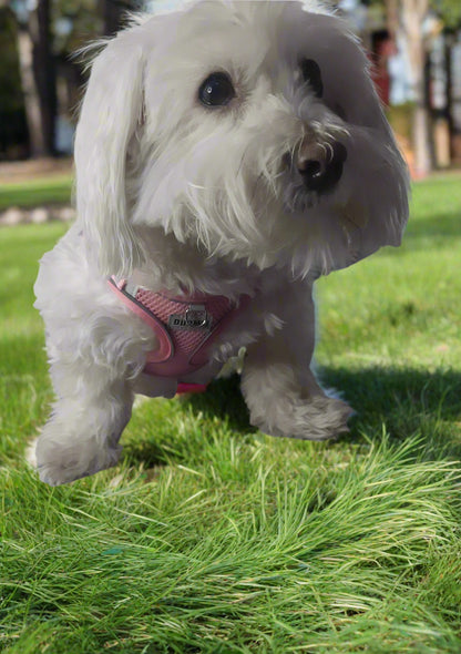 PINK Step in Dog Harness and Leash Set, SMALL SIZE, Cloth Backing, Mesh Front Harness with Reflective Trim