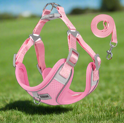 PINK Step in Dog Harness and Leash Set, SMALL SIZE, Cloth Backing, Mesh Front Harness with Reflective Trim