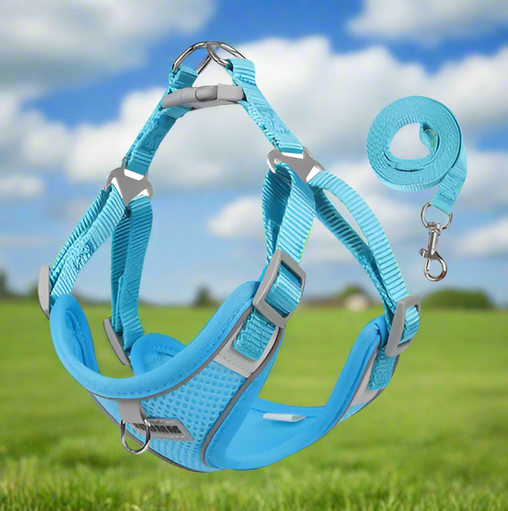 BLUE Step in Dog Harness and Leash Set, SMALL SIZE, Cloth Backing, Mesh Front Harness with Reflective Trim