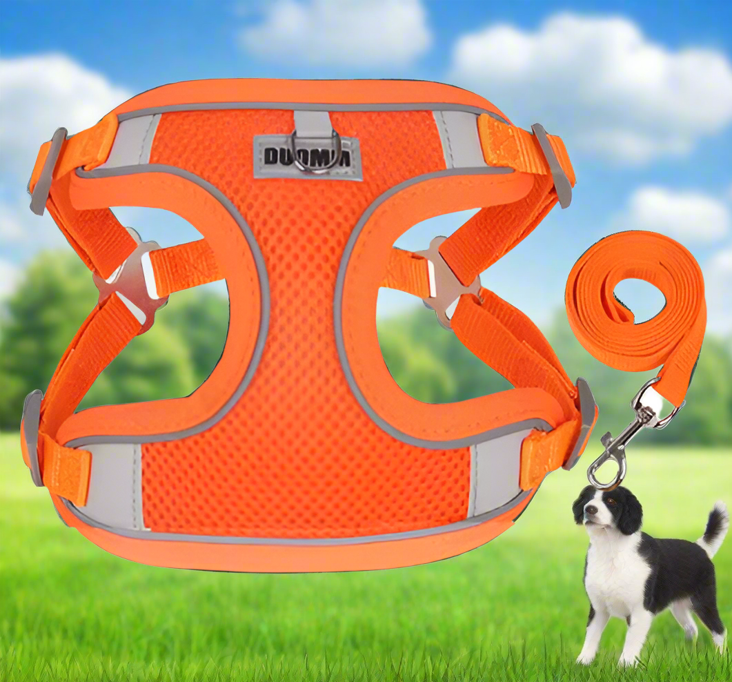 ORANGE Step in Dog Harness and Leash Set, LARGE SIZE, Cloth Backing, Mesh Front Harness with Reflective Trim