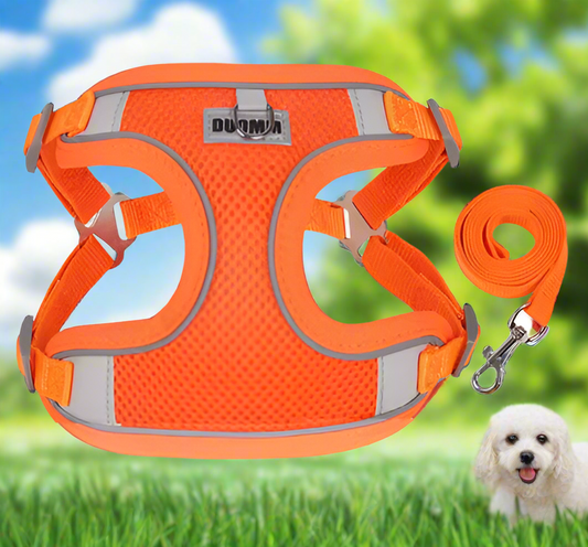 ORANGE Step in Dog Harness and Leash Set, MEDIUM SIZE, Cloth Backing, Mesh Front Harness with Reflective Trim